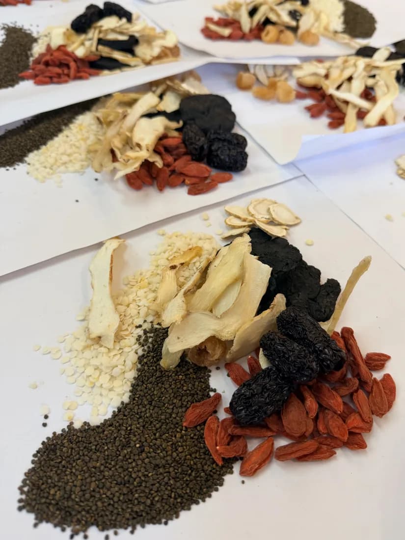 Chinese herbal preparations with dried roots, seeds, and red fruits arranged on sheets of paper.